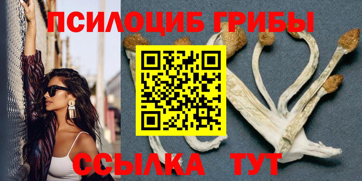 Галлюциногенные грибы мицелий  Вход с VPN  Волоколамск 