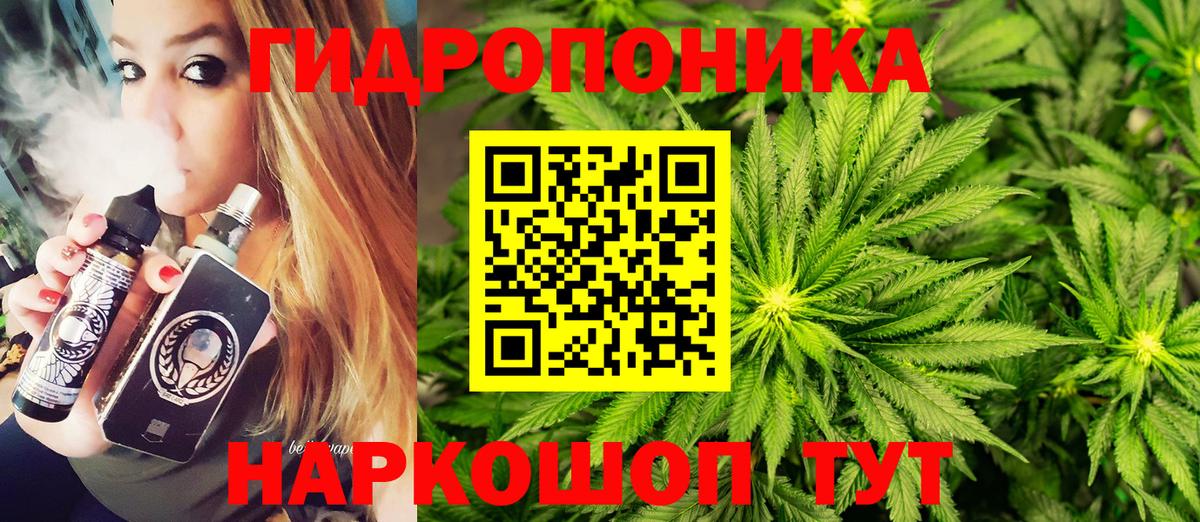 Конопля планчик Волоколамск